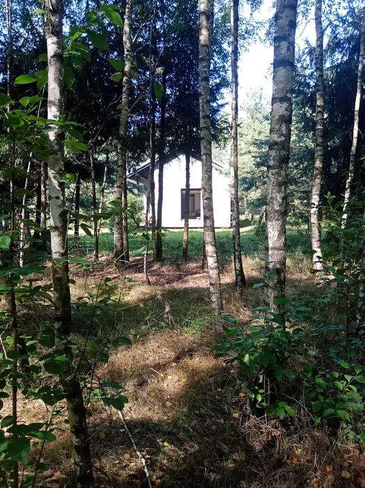 Taras domku Leśny Azyl Karw koło Górzna widok na las