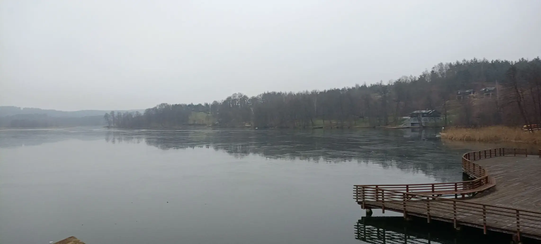 Widok na Jezioro Górznieńskie od strony południowo-wschodniej - panorama lasów i wody